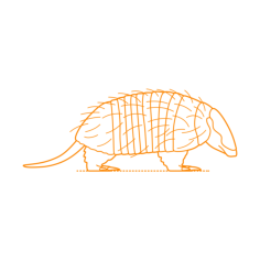 Animals Armadillos Screaming Hairy Armadillo Contour Svg Vector, Free Vectors File